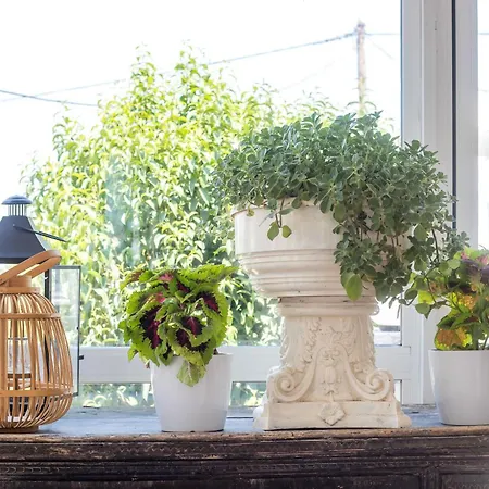 Vickys Apartmanhotel Faliráki