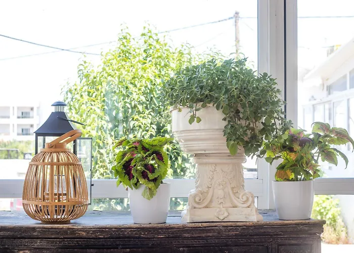 Vickys Aparthotel Faliraki